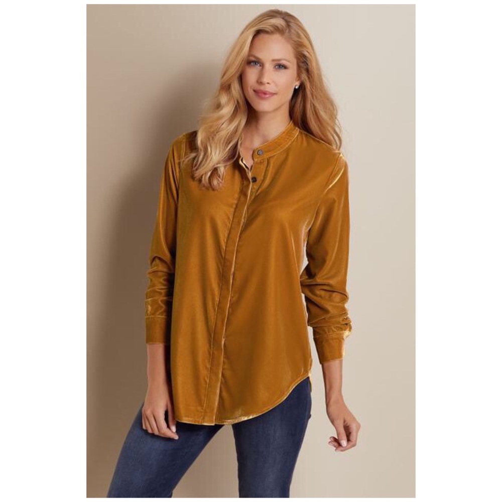 Soft Surroundings Montaigne Velvet Shirt